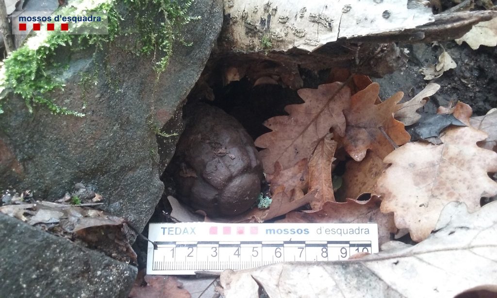 La granada de mà localitzada al Bosc de Poblet. (Foto: Mossos d'Esquadra)