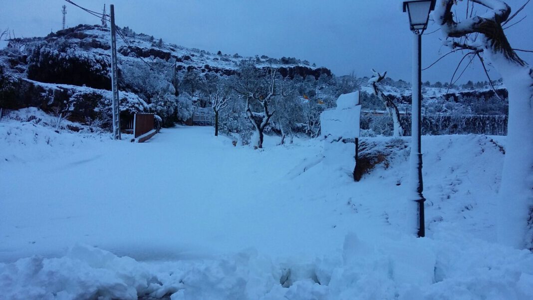 La nevada d'aquest dissabte a Vilanova de Prades (Miquel Moya)