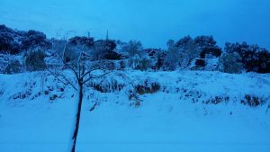 La nevada d'aquest dissabte a Vilanova de Prades (Miquel Moya)