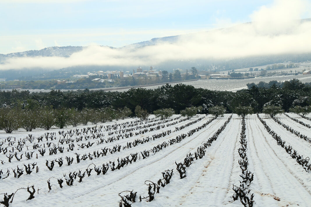 La nevada, aquest matí, als entorns de Poblet. (Foto: Ferran Lozano)