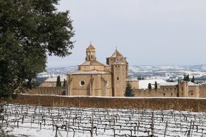 El monestir de Poblet, nevat. (Foto: Ferran Lozano)
