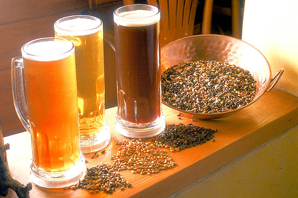 L’Espluga celebrarà la Fira de la Cervesa Artesana a l’octubre