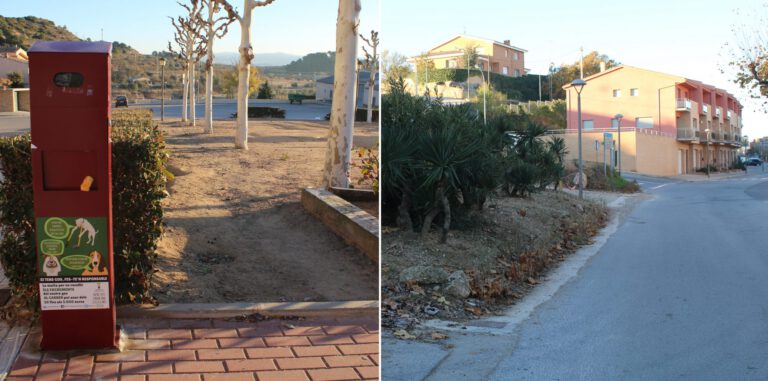 Una vorera a la carretera de Poblet o un Pipicà, opcions per als pressupostos participatius de l’Espluga