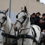 Tres Tombs Quintos Sarral (Gerard Bosch)