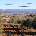 Habitatges aïllats al terme municipal de l’Espluga. (Foto: Xavier Lozano)