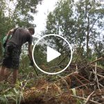 Camp de Treball_video