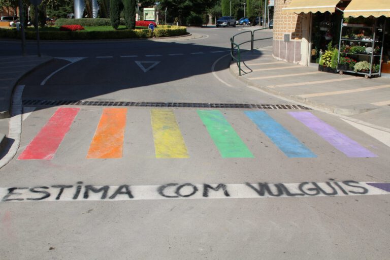 Pinten la bandera LGTBI en un pas de vianants a l’Espluga
