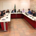 Ple ordinari del mes d’abril 2019 (5)