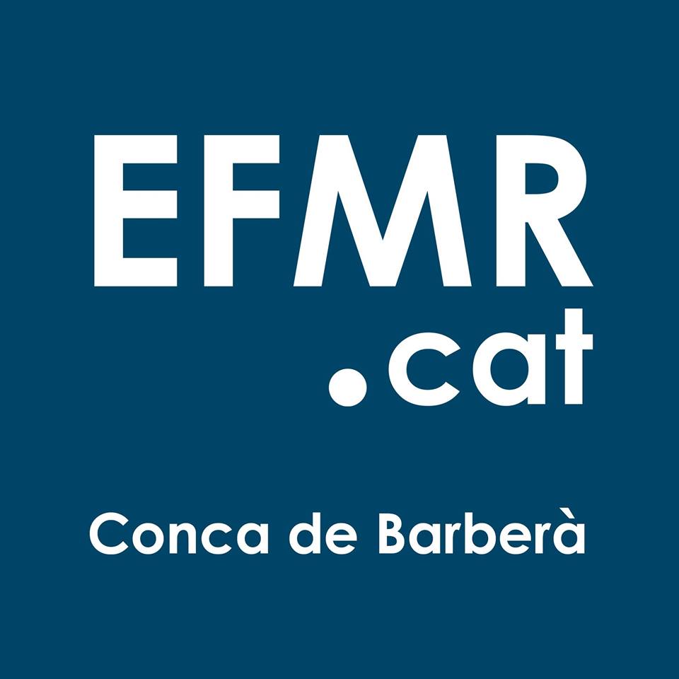 (c) Efmr.cat