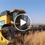 videocereal