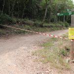 Treballs forestas tallat