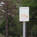 Zona d’alt risc d’incendi