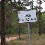 caça controlada
