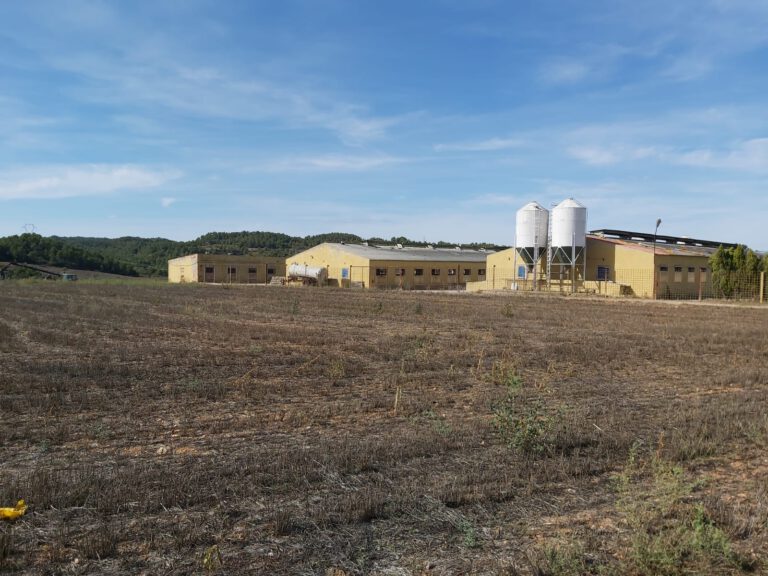 La Generalitat inspeccionarà a la Conca 4 explotacions ramaderes d’incidència ambiental potencialment elevada