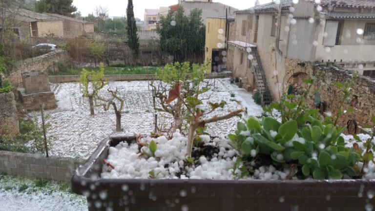 La tempesta deixa neu, pluja i calamarsa a la Conca de Barberà La tempesta deixa neu, pluja i calamarsa a la Conca de Barberà