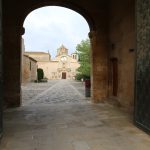 Monestir de Poblet coronavirus (Gerard Bosch)_7269