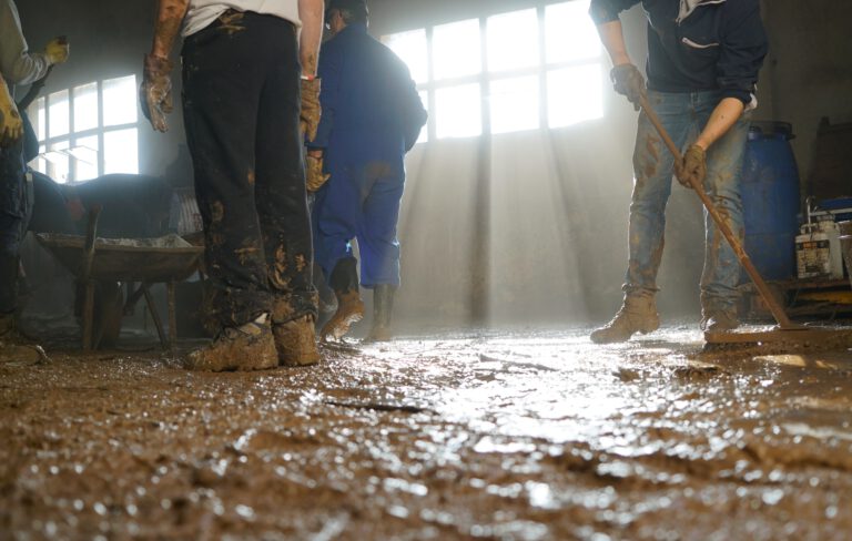 El MVR i la UB presenten aquest divendres Floodup Francolí, un projecte d’experiència col·lectiva sobre la riuada de 2019 El MVR i la UB presenten aquest divendres Floodup Francolí, un projecte d’experiència col·lectiva sobre la riuada de 2019