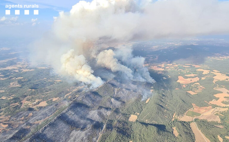 La campanya forestal a la Conca finalitza amb 130 ha cremades, la pitjor dada dels últims 15 anys
