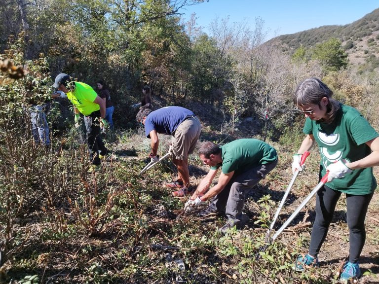 S’amplien els dies del voluntariat forestal al Paratge Natural de Poblet 