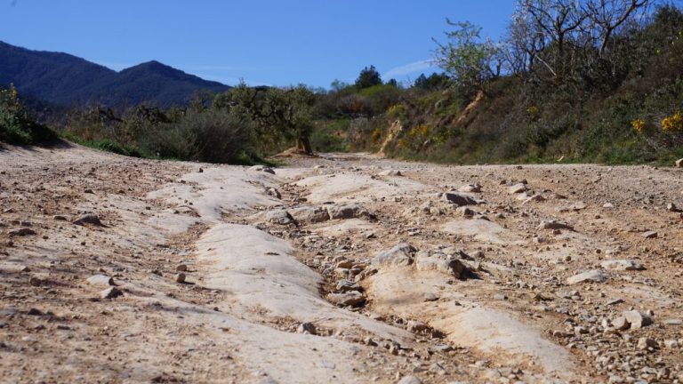 Compte enrere per l’arranjament d’11 quilòmetres de camins de l’Espluga